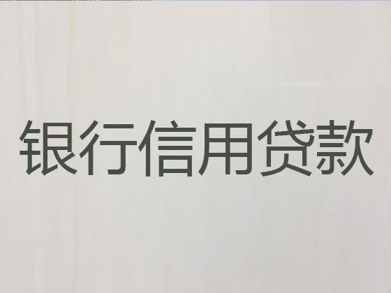庐山市抵押贷款公司-银行信用贷款